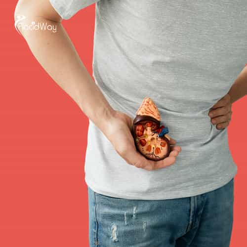 Why Ethiopia is Seeing a Surge in Patients Seeking Stem Cell Therapy for Chronic Kidney Disease in India